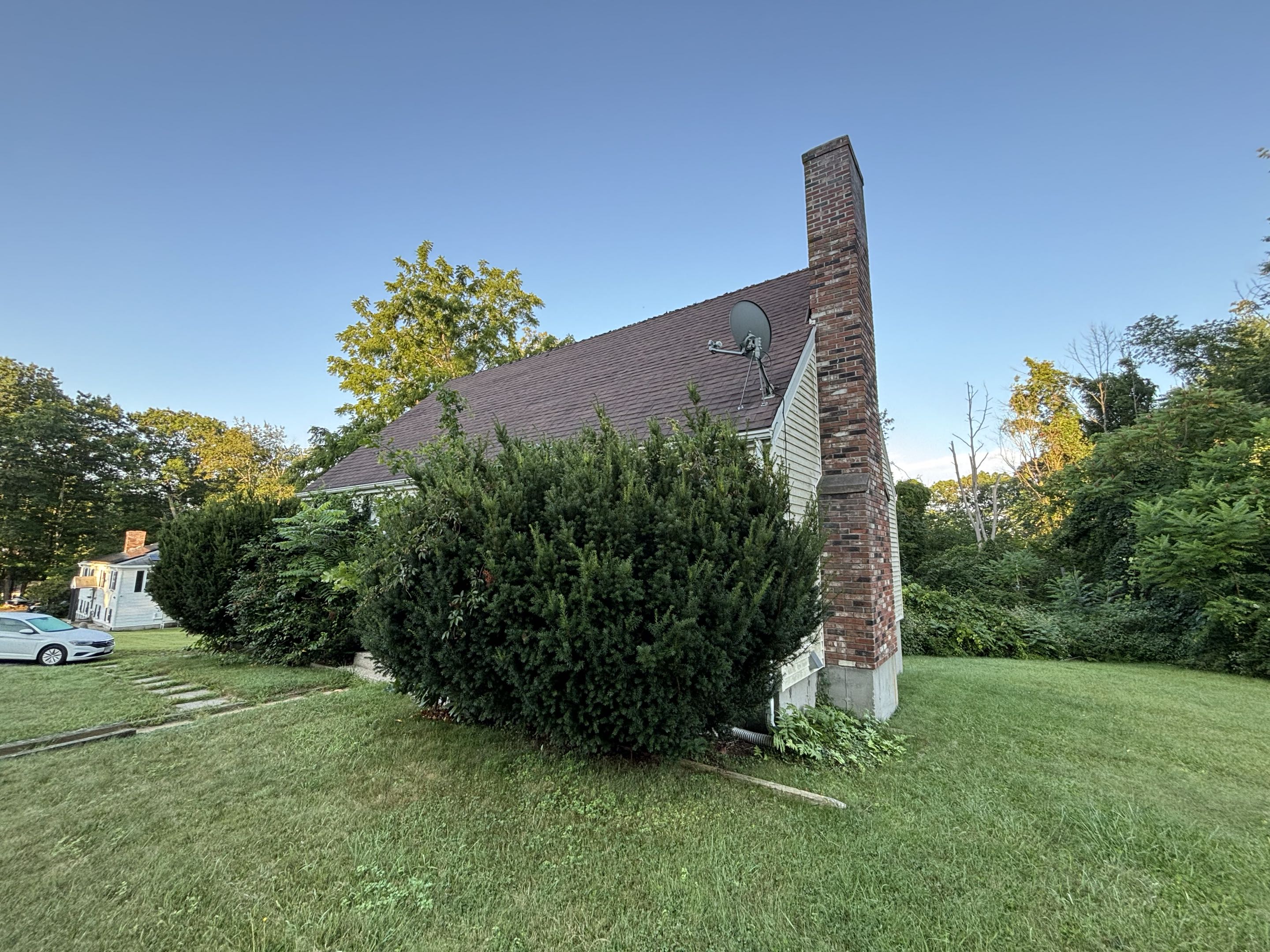 Before — dense shrub growth before clearing